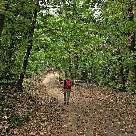 Ca' Contea Villa Teolo